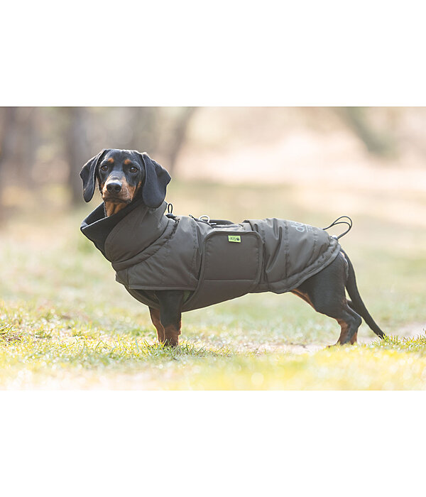 Teckel Wintermantel Henry, 200 g