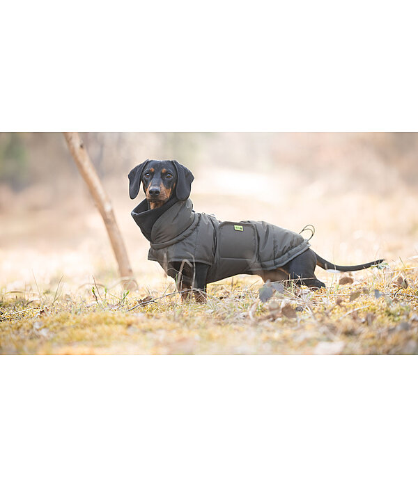 Teckel Wintermantel Henry, 200 g