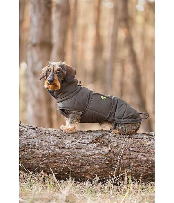 Teckel Wintermantel Henry, 200 g