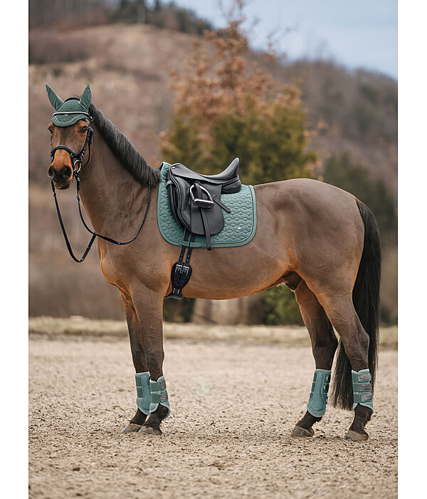 Mesh peesbeschermers Glitter, achterbenen