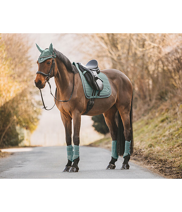 Mesh peesbeschermers Glitter, achterbenen