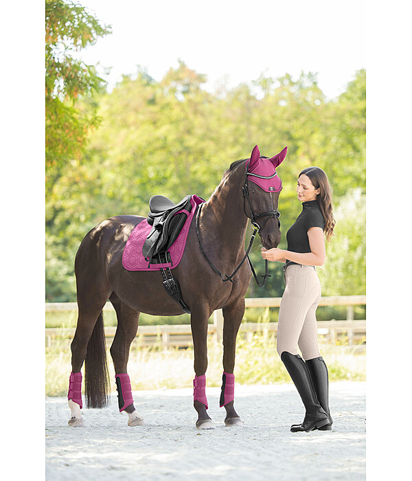 oornetje Mesh-technologie