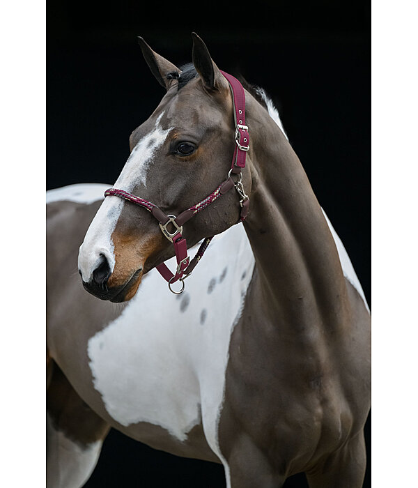 anatomisch halster Sophistication