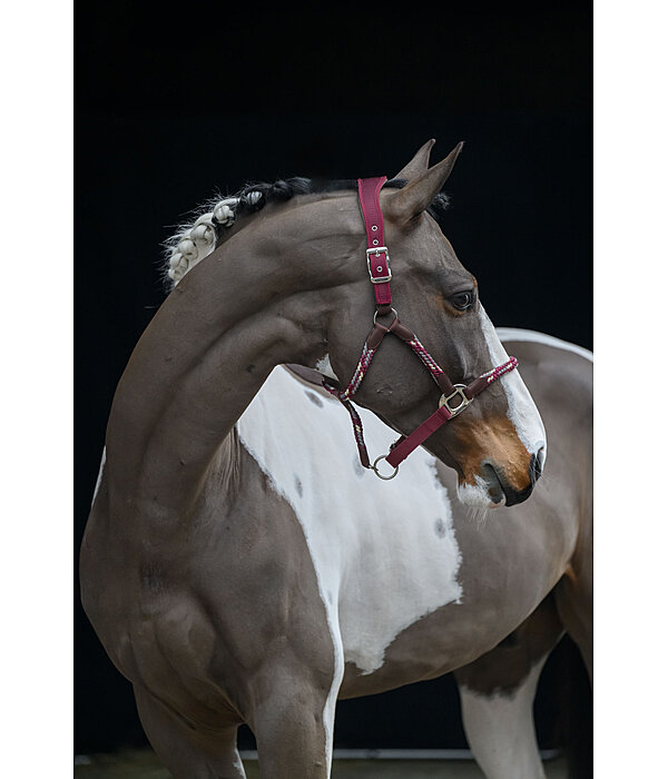 anatomisch halster Sophistication