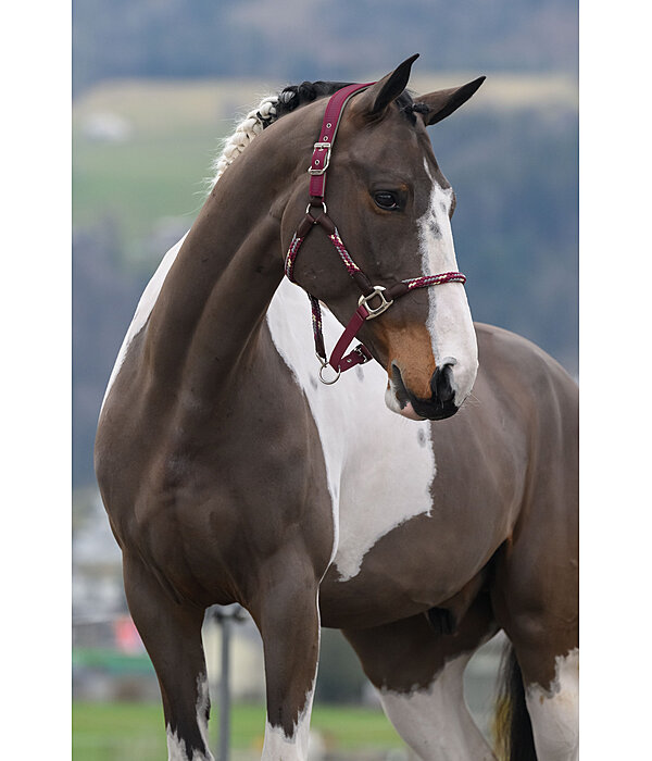 anatomisch halster Sophistication