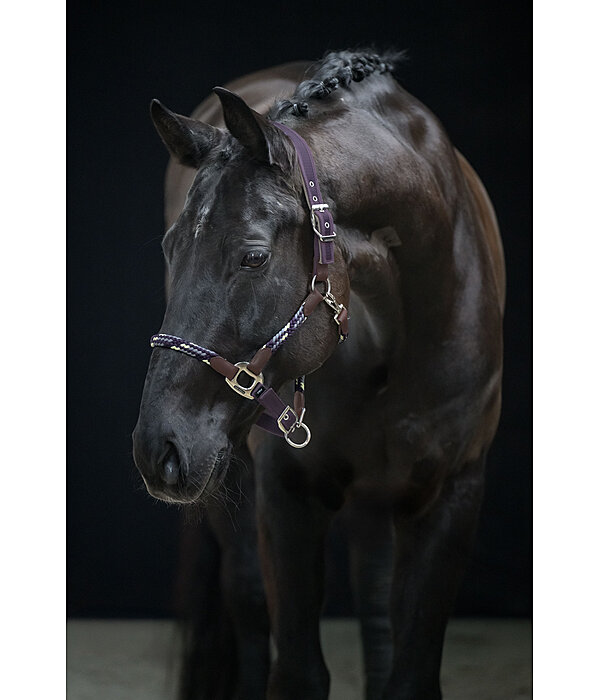anatomisch halster Sophistication