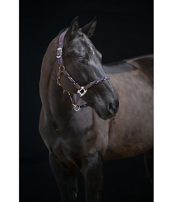 anatomisch halster Sophistication
