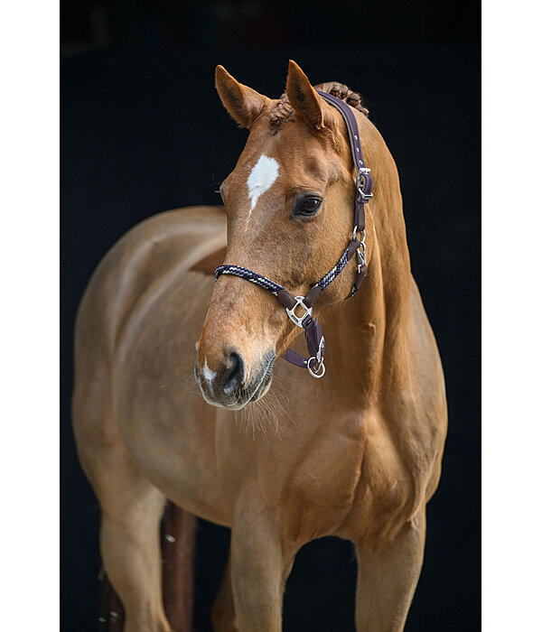 anatomisch halster Sophistication