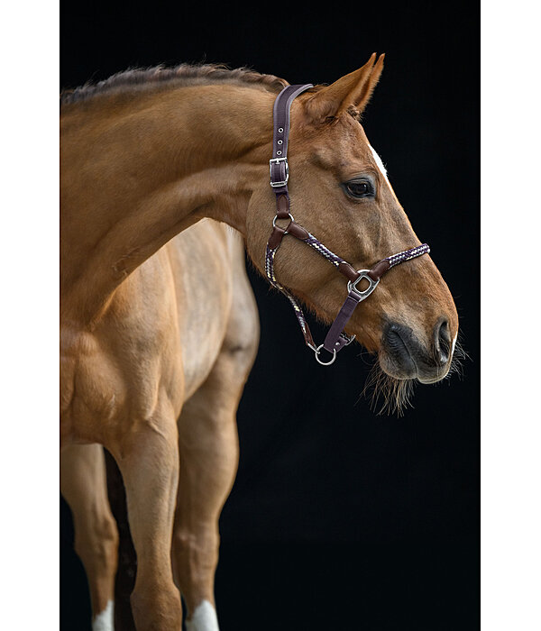 anatomisch halster Sophistication