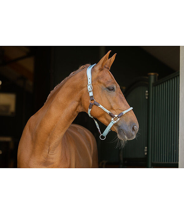 anatomisch halster Sophistication