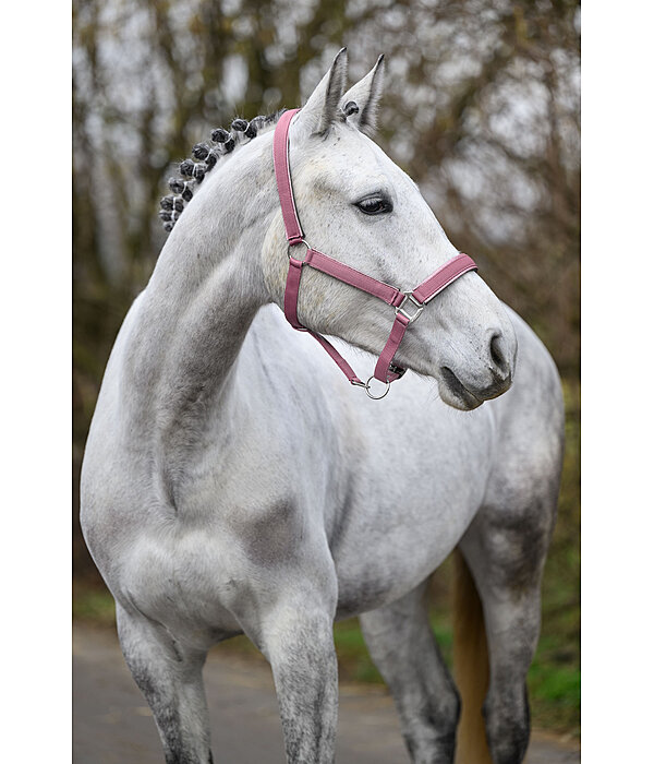 halster Glitter