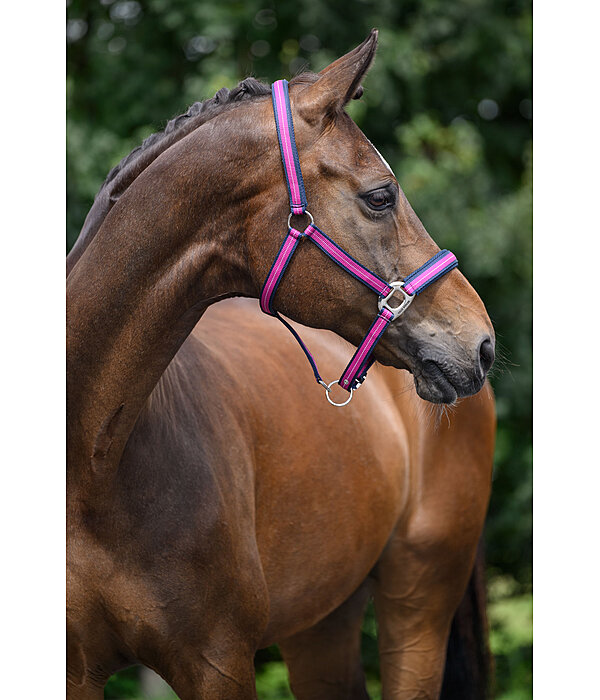 halster Swiss Design II