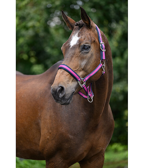 halster Swiss Design II