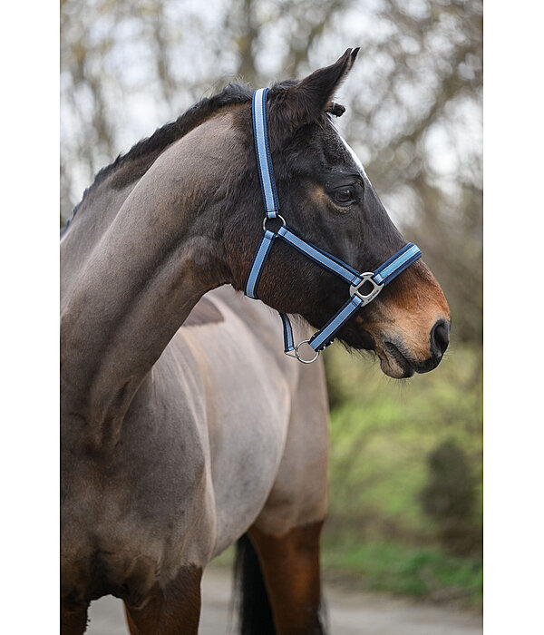 halster Essential II