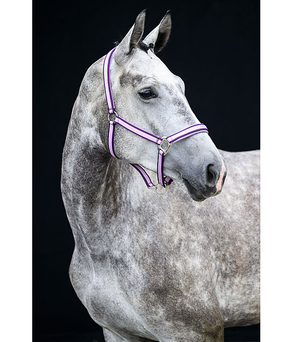 halster Essential II