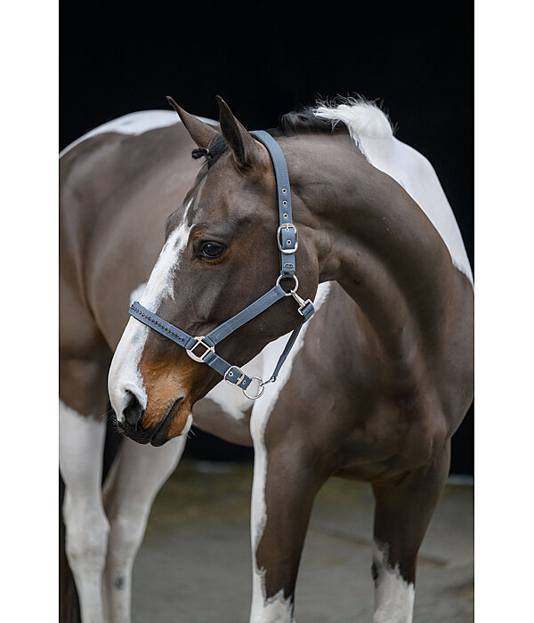 halster Twinkle