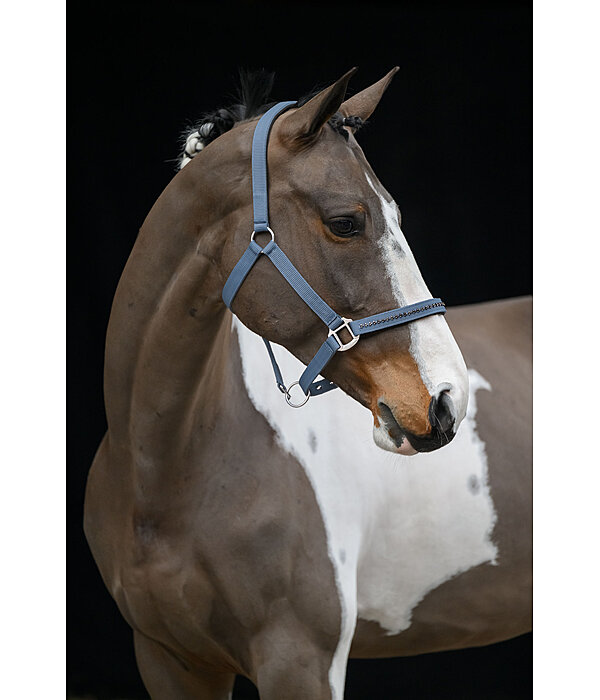 halster Twinkle