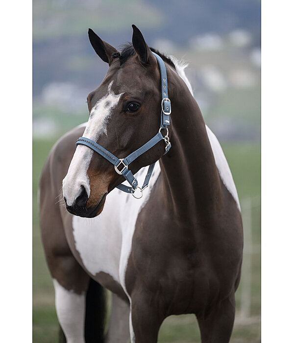 halster Twinkle