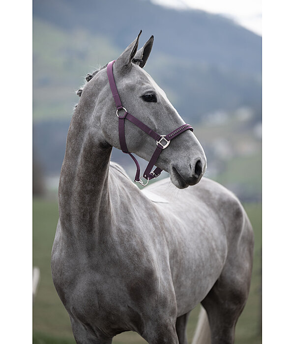 halster Twinkle
