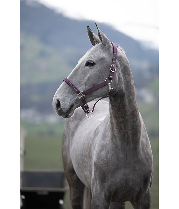 halster Twinkle
