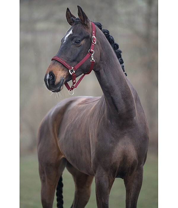 halster Twinkle
