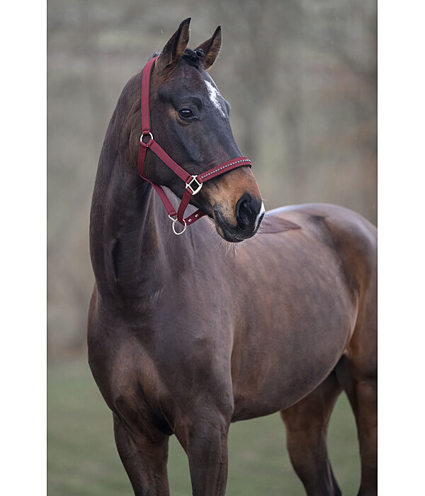 halster Twinkle