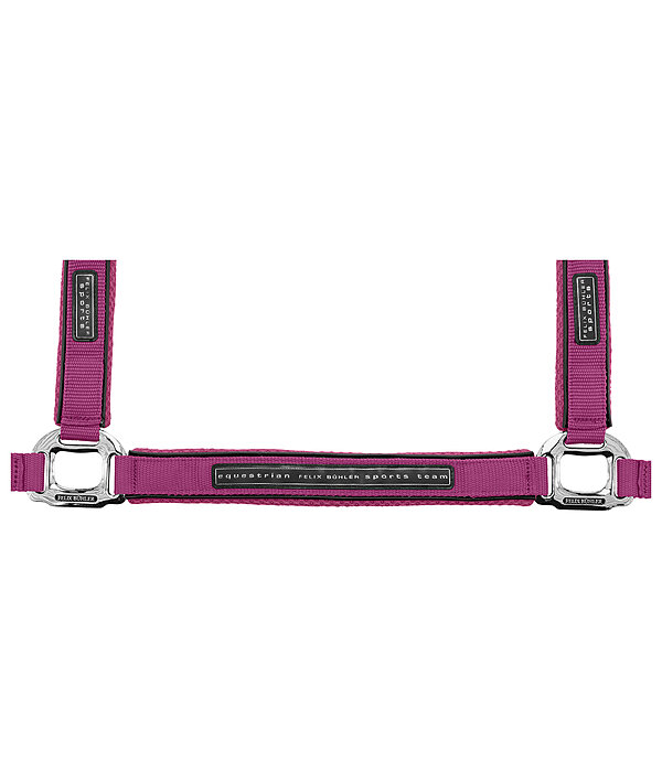 halster Mesh-Technology