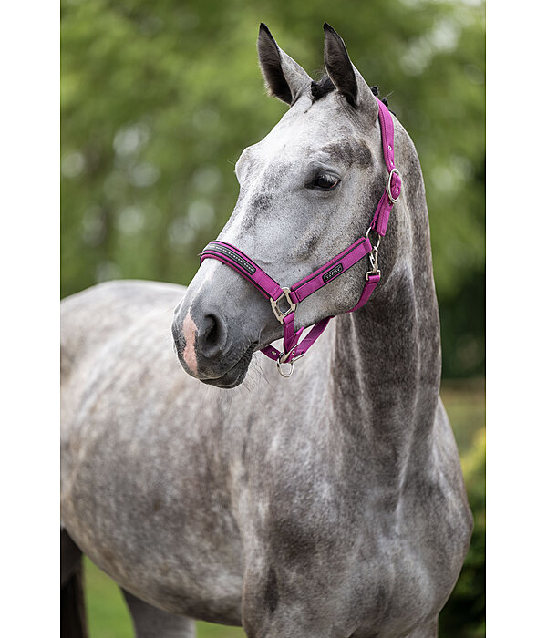 halster Mesh-Technology