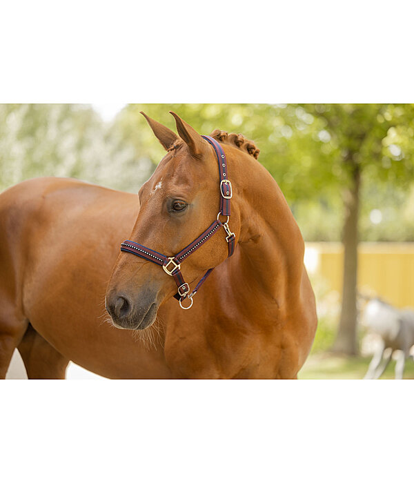 halster Twotone & Crystal