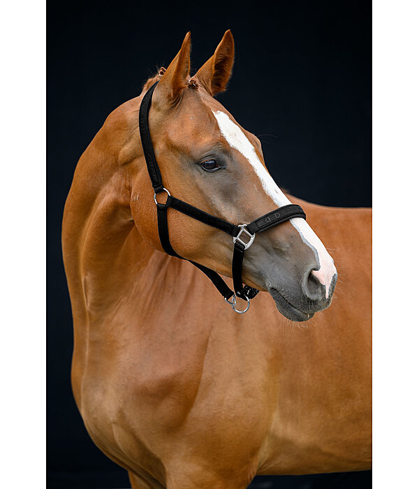 halster Signature III