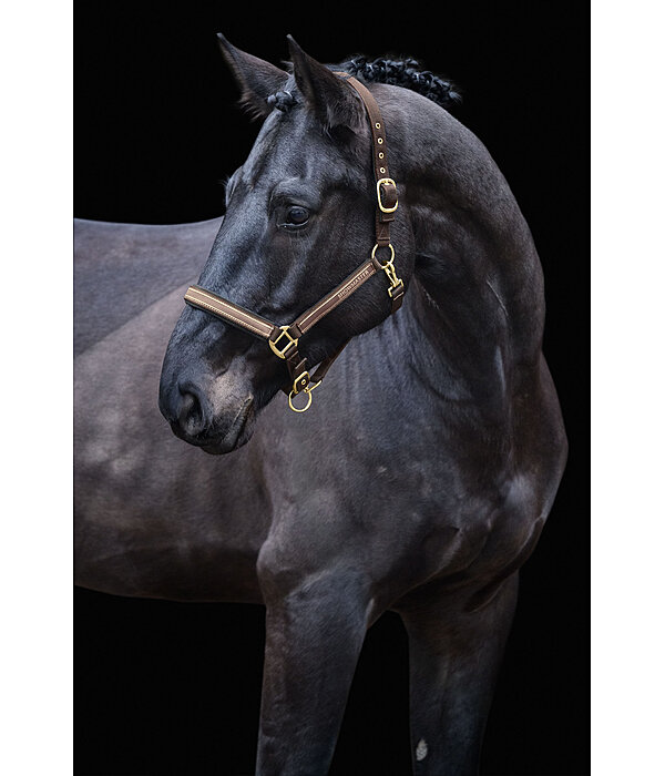 halster Glimmering