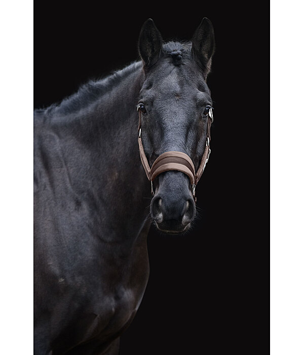 Halfter Velvet