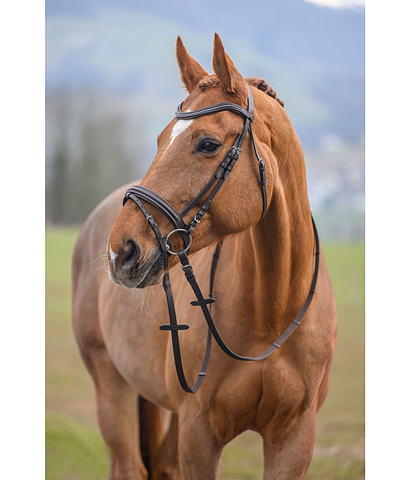 hoofdstel Beauty