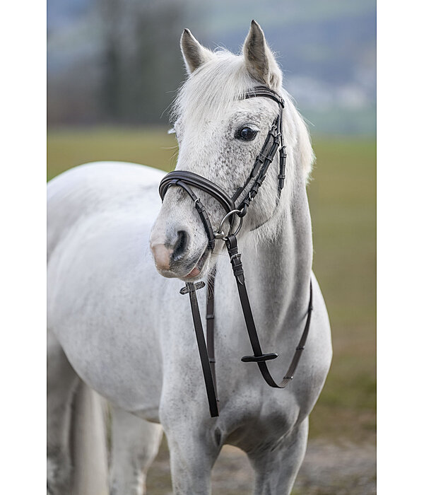 hoofdstel Beauty