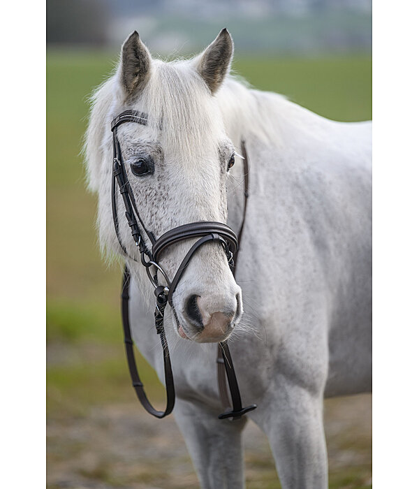 hoofdstel Beauty