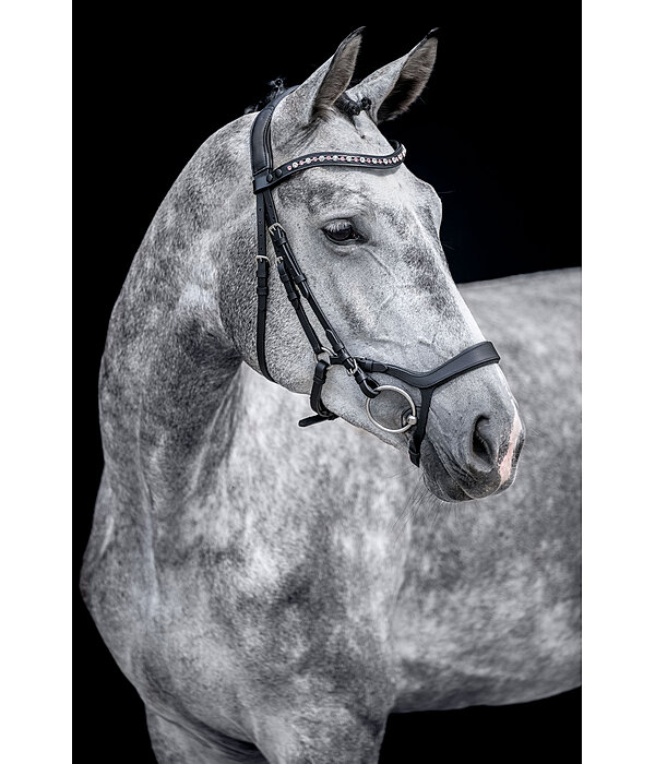 Mix & Match geoliede lederen neusriem Revolution