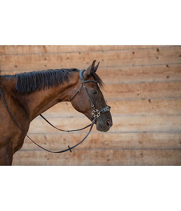 Mix & Match geolied lederen kopstuk bitloos