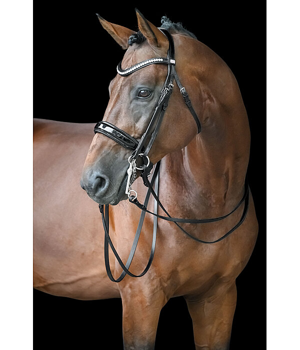 stang hoofdstel Dressage II
