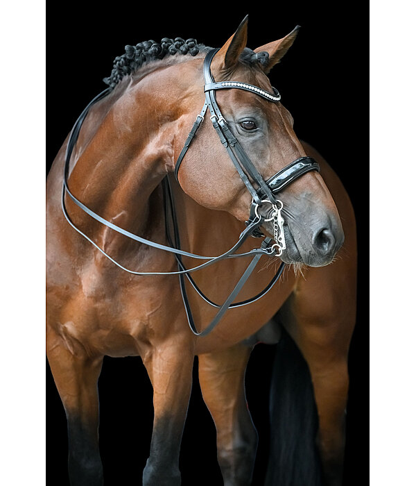 stang hoofdstel Dressage II