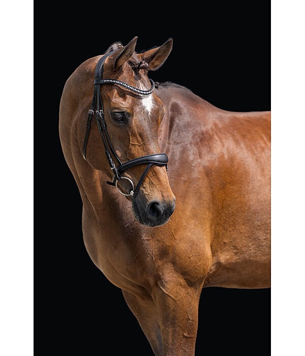 hoofdstel Alaska met afneembare kinriem