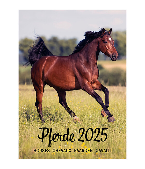 Paardenkalender 2026