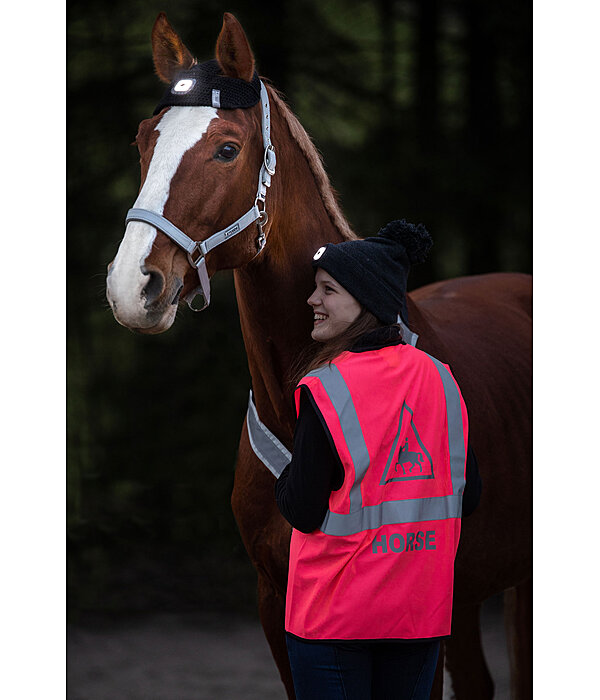 LED hoofdlamp voor paarden