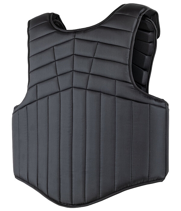 bodyprotector Panel Fit