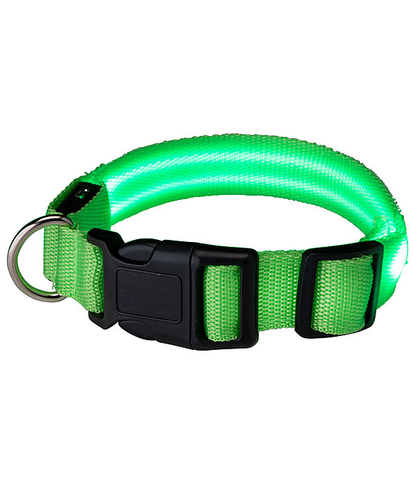 LED hondenhalsband Loom