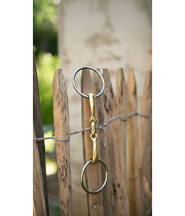 watertrens Anatomical Rol,l dubbel gebroken, dikte 16 mm