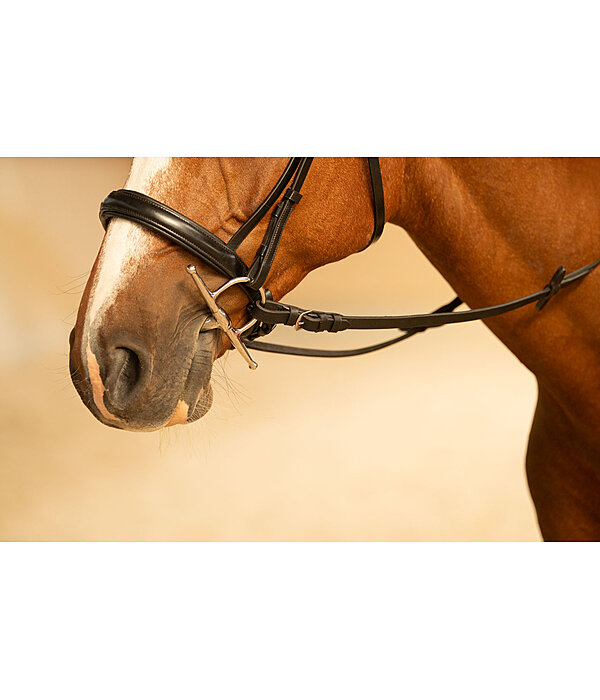 kneveltrens met olijfkop dubbel gebroken 16 mm