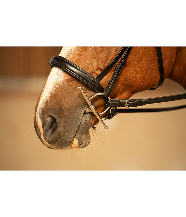 kneveltrens met olijfkop dubbel gebroken 16 mm