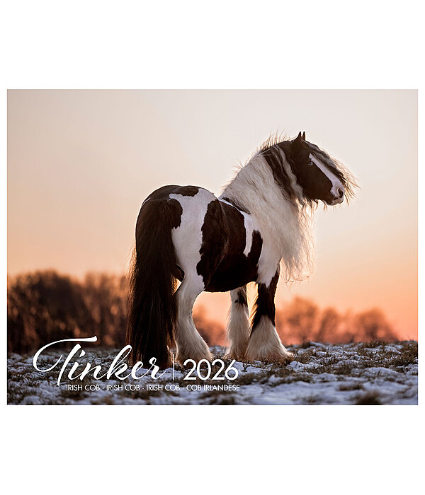 Tinker Kalender 2025