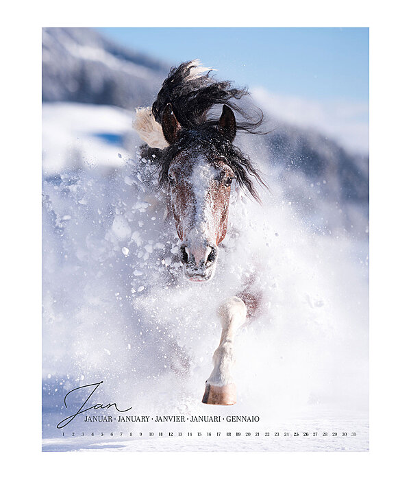 Kalender paardenliefde 2025