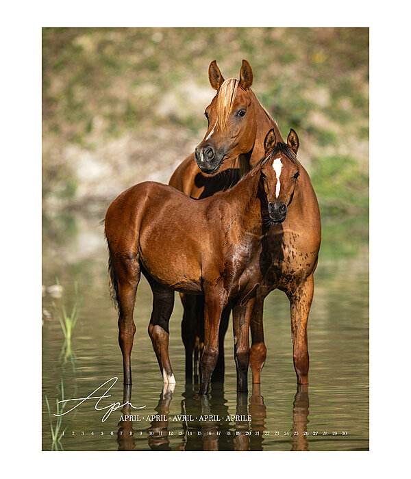 Kalender paardenliefde 2025